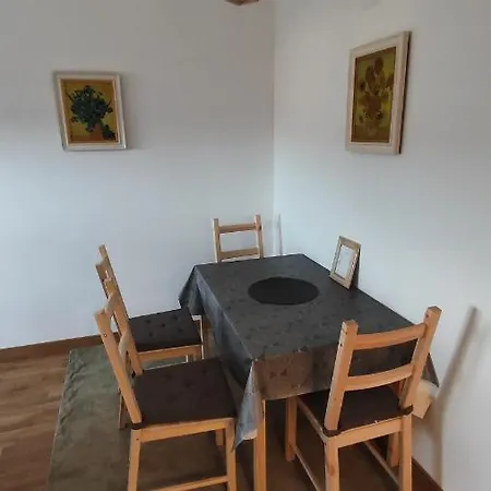 Vincent Gogh פודגוריצה