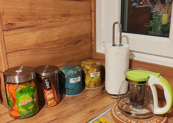 公寓 Vincent Gogh 波德戈里察