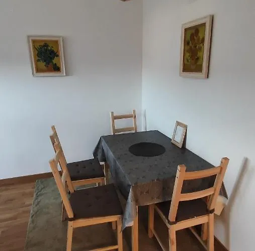 Vincent Gogh Podgorica